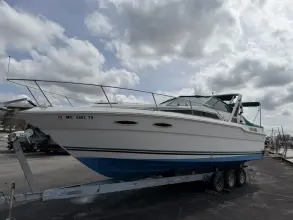 Sea Ray 300 Sundancer 
