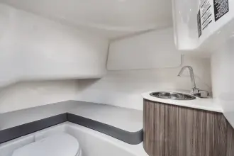 Thumbnail von Sea Ray SDX 250