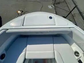 Thumbnail von Sea Ray SDX 250 Outboard