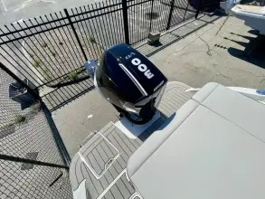 Thumbnail von Sea Ray SDX 250 Outboard