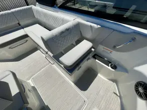 Thumbnail von Sea Ray SDX 250 Outboard