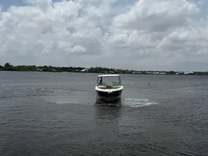 Thumbnail von Sea Ray SLX 310 Outboard