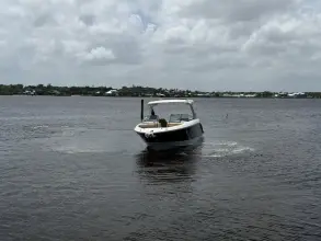 Thumbnail von Sea Ray SLX 310 Outboard