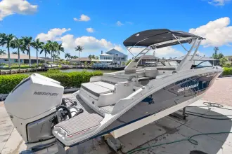 Thumbnail von Sea Ray SDX 290 Outboard