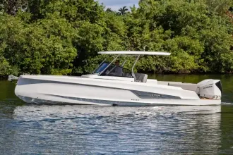 Sterk 31