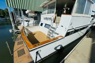 Thumbnail von Californian 55 Cockpit Motor Yacht