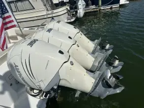 Thumbnail von Boston Whaler 350 Realm