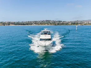Thumbnail von Carver 46 Motor Yacht