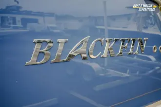 Thumbnail von Blackfin 332 CC