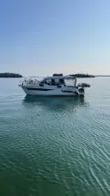Thumbnail von Jeanneau Merry Fisher 895 JennaDi