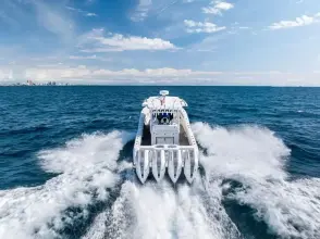 Thumbnail von Invincible 43 Open Fisherman LOONEY TUNE