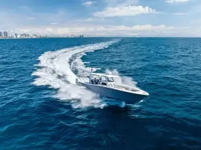 Thumbnail von Invincible 43 Open Fisherman LOONEY TUNE