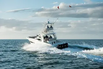 Thumbnail von Boston Whaler 420 Outrage