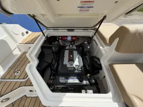 Thumbnail von Sea Ray SDX 230 Surf