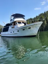 Thumbnail von Defever 49 Raised Pilothouse Traveller