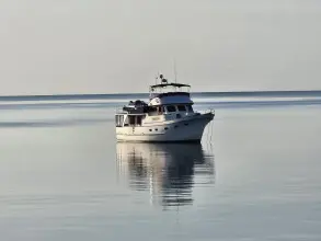 Thumbnail von Defever 49 Raised Pilothouse Traveller