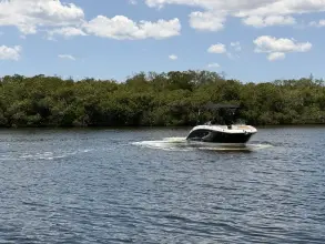 Thumbnail von Sea Ray SDX 270 Outboard