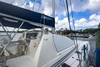 Thumbnail von Leopard 42 canvas of the Sea
