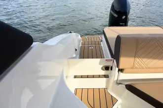Thumbnail von Sea Ray SDX 250 Outboard