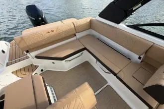 Thumbnail von Sea Ray SDX 250 Outboard