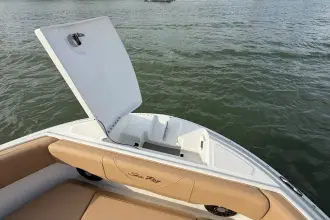 Thumbnail von Sea Ray SDX 250 Outboard