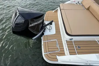 Thumbnail von Sea Ray SDX 250 Outboard