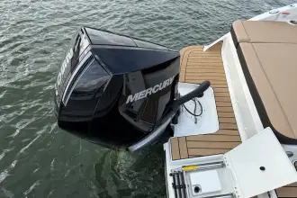 Thumbnail von Sea Ray SDX 250 Outboard