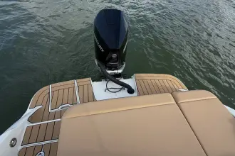 Thumbnail von Sea Ray SDX 250 Outboard