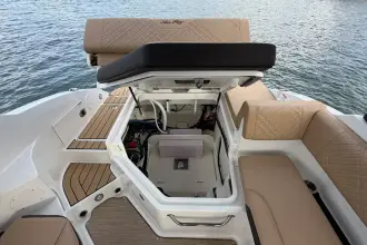 Thumbnail von Sea Ray SDX 250 Outboard