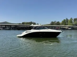 Thumbnail von Sea Ray 320 Sundancer