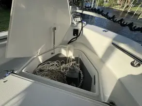 Thumbnail von Boston Whaler 250 Dauntless