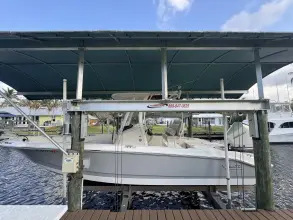 Thumbnail von Boston Whaler 250 Dauntless
