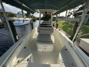 Thumbnail von Boston Whaler 250 Dauntless