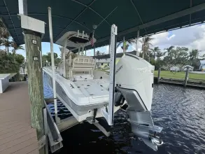 Thumbnail von Boston Whaler 250 Dauntless