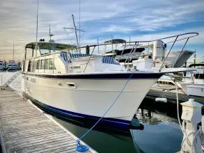 Thumbnail von Hatteras 43 Double Cabin Lazy Livin'