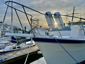 Thumbnail von Hatteras 43 Double Cabin Lazy Livin'
