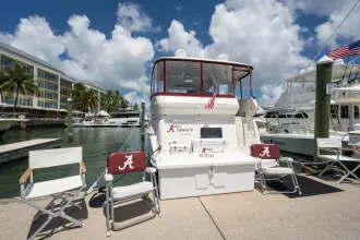 Thumbnail von Sea Ray 480 Motor Yacht Anna's Cabana