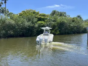 Thumbnail von Boston Whaler 250 Outrage