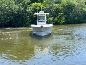 Thumbnail von Boston Whaler 250 Outrage