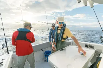 Thumbnail von Boston Whaler 330 Outrage