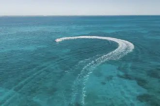Thumbnail von Boston Whaler 330 Outrage