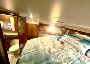 Thumbnail von Meridian 391 Motor Yacht Summer Wind
