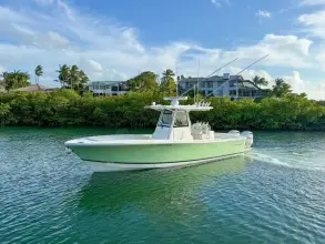 Regulator 31 Terrapin