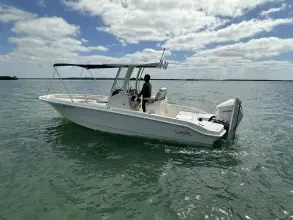 Thumbnail von Boston Whaler 250 Dauntless