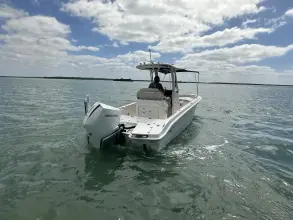 Thumbnail von Boston Whaler 250 Dauntless