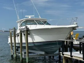 Thumbnail von Tiara Yachts 4200 Open Property Damage