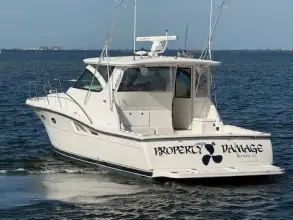 Thumbnail von Tiara Yachts 4200 Open Property Damage