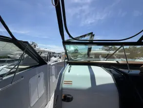 Thumbnail von Cruisers Yachts 38 GLS South