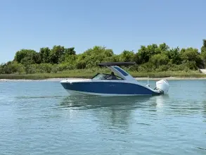 Thumbnail von Sea Ray SDX 230 Outboard