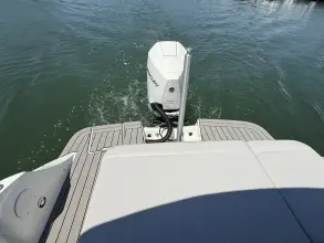 Thumbnail von Sea Ray SDX 230 Outboard
